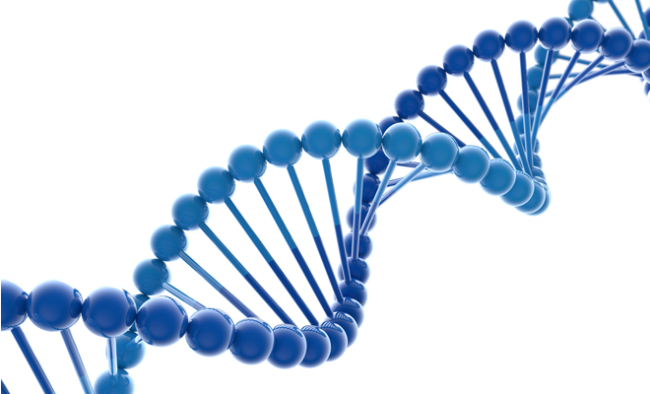 organisationale-DNA_sedlák & partner