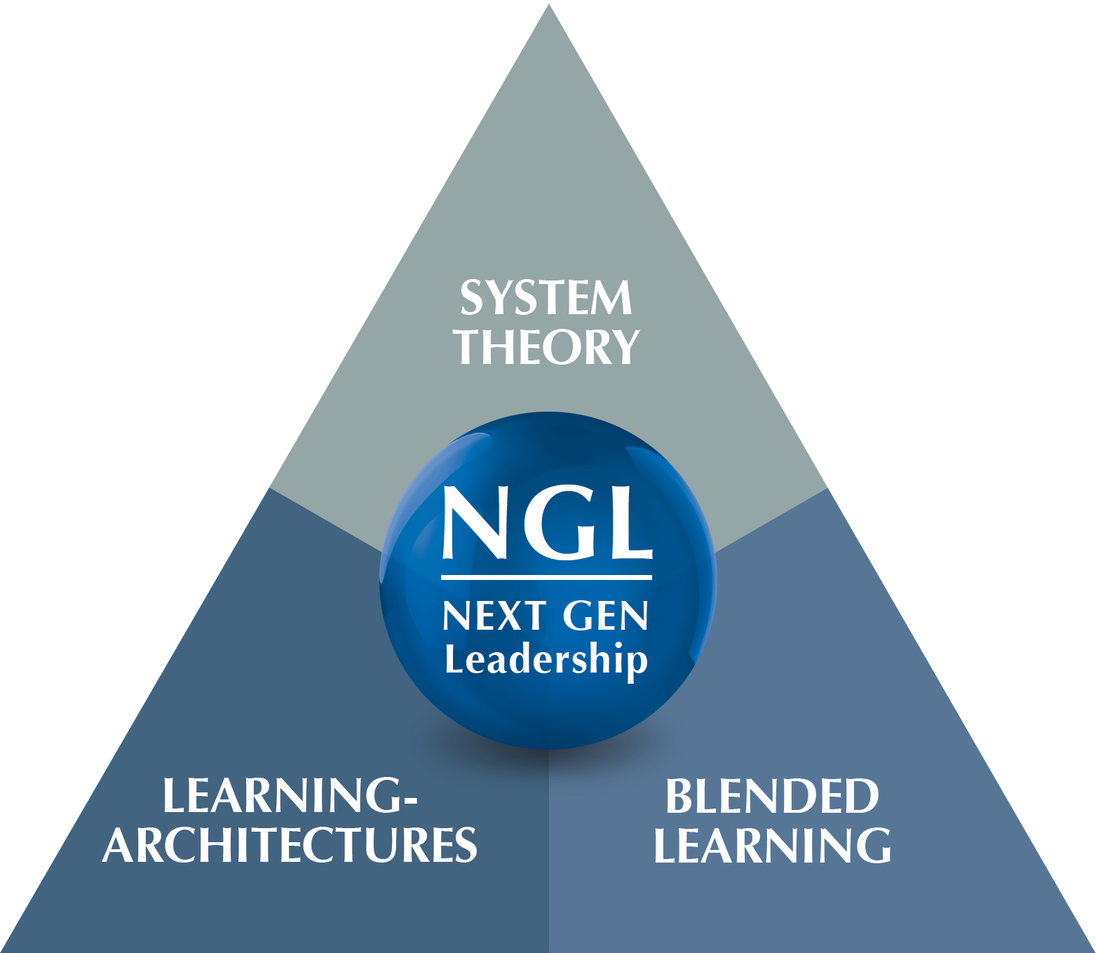 S+P-NGL-EN
