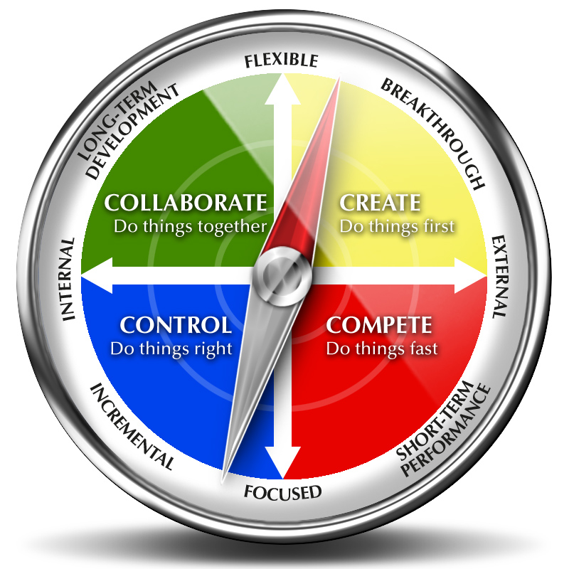 Systemic culture compass