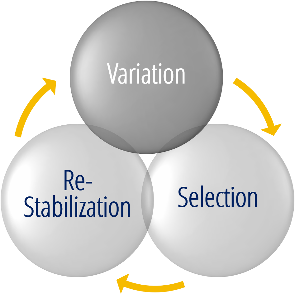 Variation