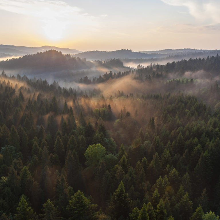 Sustainable corporate development