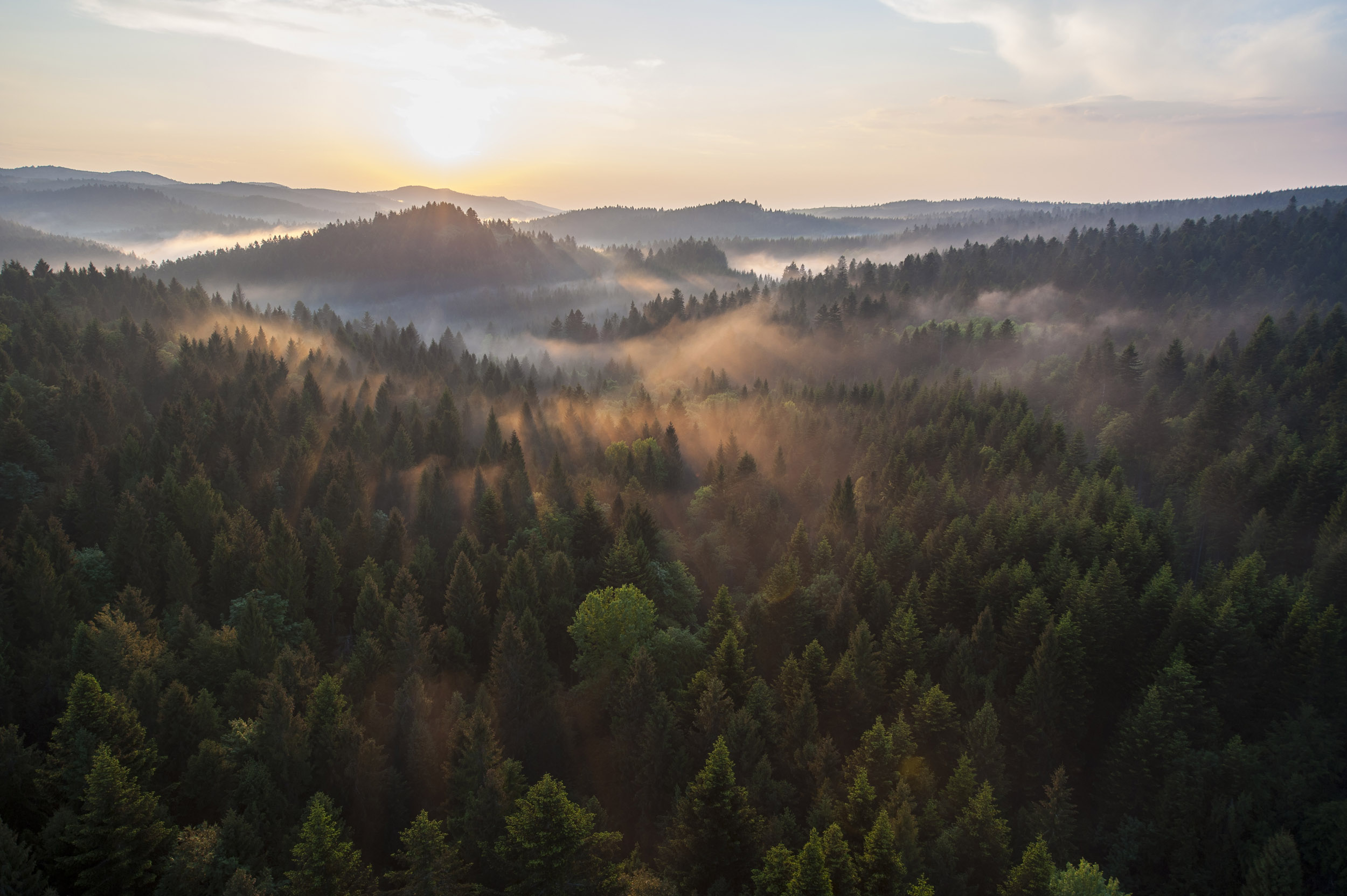 Sustainable corporate development