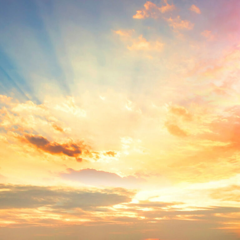 Strengthening future viability and the ability to change