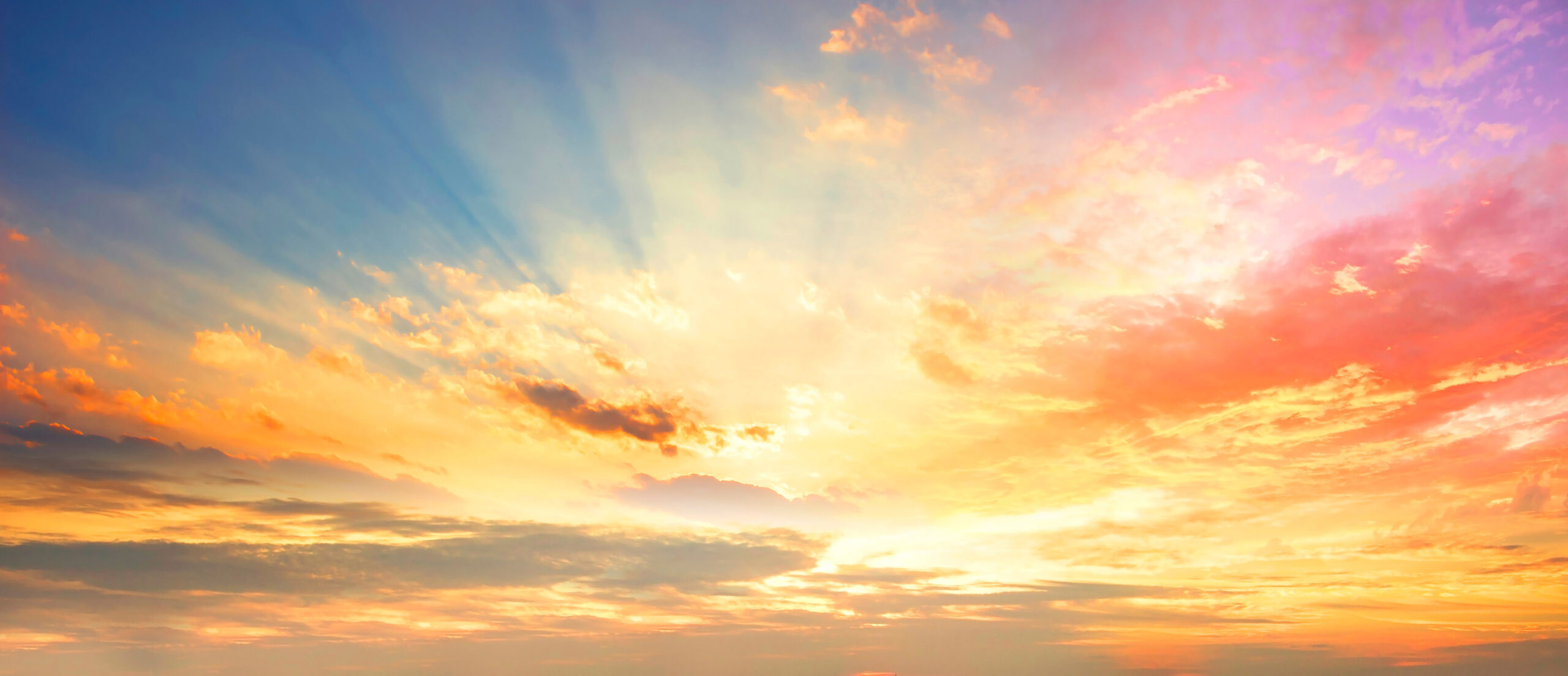 Strengthening future viability and the ability to change