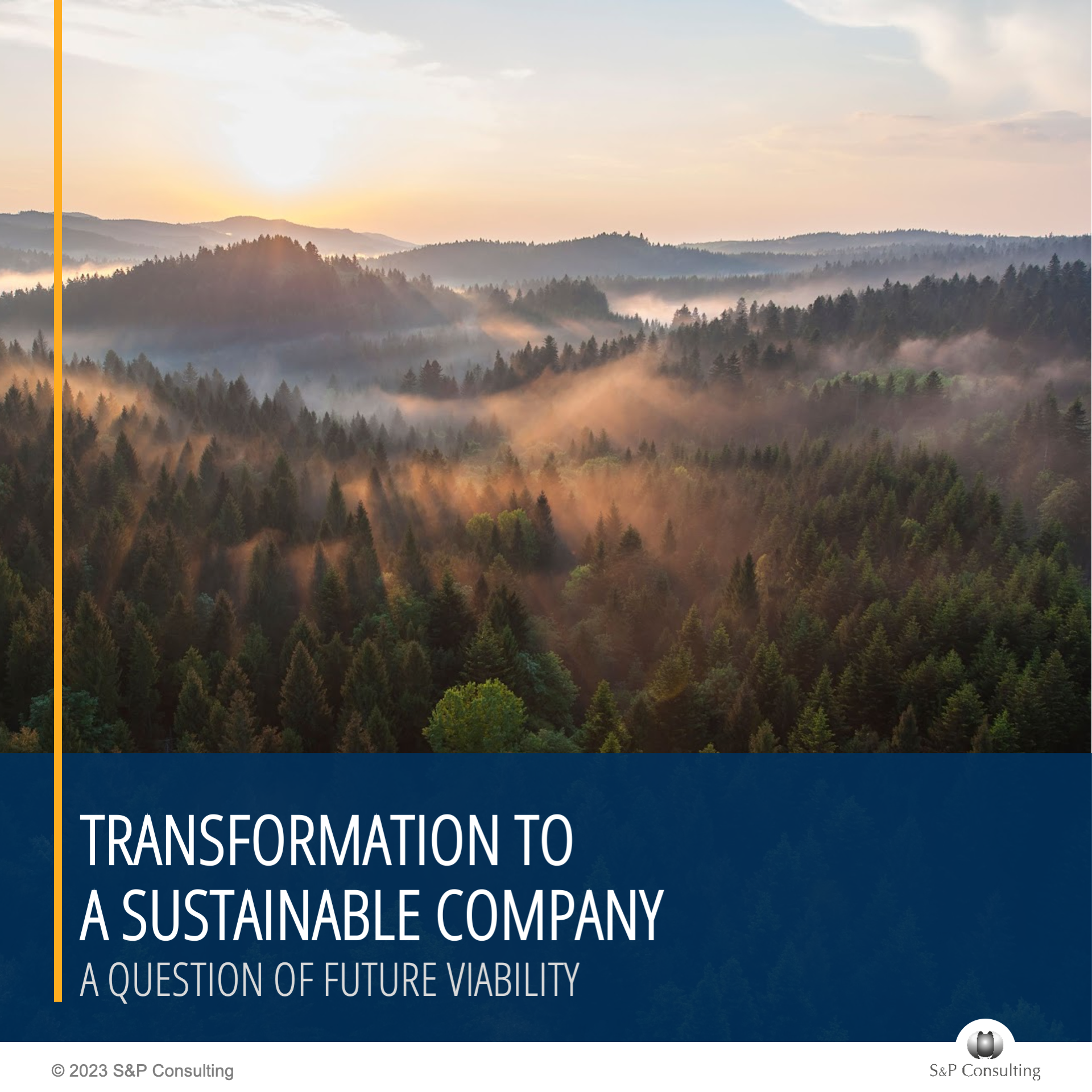 White Paper: Organizational Sustainability White Paper: Organizational Sustainability