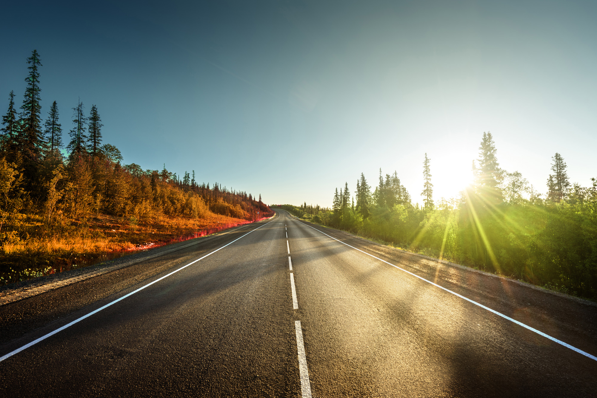 Transformation to a sustainable company Transformation to a sustainable company